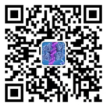 技术支持微信