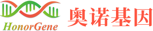 奥诺基因